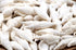 white bulk shells